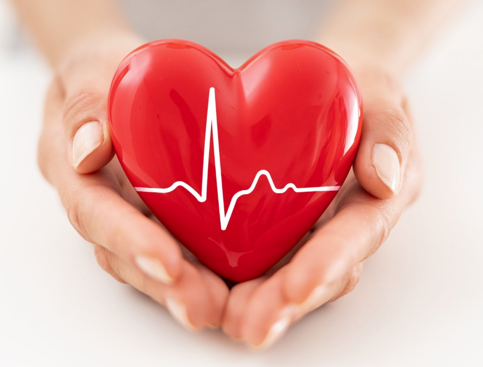 Cardiovascular