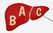 Hepatitis